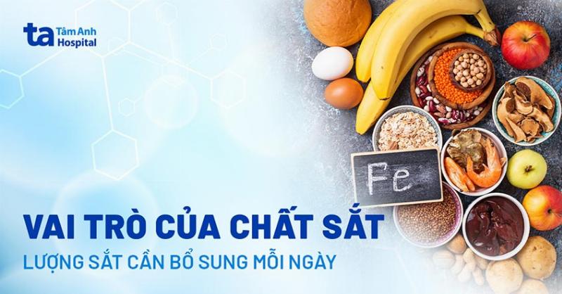 Hình ảnh các loại thực phẩm đa dạng cung cấp nguyên tố vi lượng cần thiết cho cơ thể khỏe mạnh