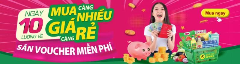 Hướng dẫn từng bước trồng cây xanh mướt trong chậu nhựa tại nhà