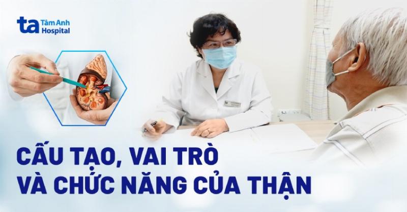 Sơ đồ minh họa vai trò đa dạng của nguyên tố vi lượng trong các chức năng sinh học cơ thể