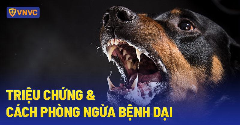 Hình ảnh mô phỏng vết cắn của chó, minh họa con đường virus dại xâm nhập cơ thể và nguy cơ bệnh dại ủ bệnh bao lâu.